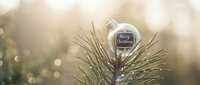 Transparent glass Christmas ornament with Merry Christmas text on pine branch, soft golden bokeh background, festive holiday greeting card concept.