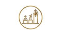 Golden line art icon showing plant growth stages from seedling to mature plant in pots, symbolizing development and progress for business presentations.