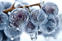 Frozen grapes covered in ice crystals hanging from vine branch in winter cold weather conditions creating natural frost formation.