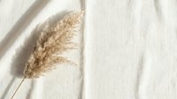 Dried pampas grass stem on neutral linen fabric with soft natural lighting and gentle shadows creating minimalist aesthetic for home decor and design.