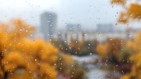 Autumn cityscape through rain-covered window with golden foliage in foreground and blurred urban buildings in background creating moody atmospheric scene.