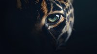 Close-up macro shot of jaguar eye with spotted fur pattern visible in dramatic low key lighting, showing intense green iris and detailed animal texture.