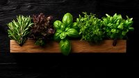 Fresh aromatic herbs arranged on wooden board against dark background, including rosemary, purple basil, green basil and parsley. Food photography concept.