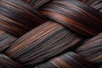 Close-up macro view of dark brown and copper braided hair strands showing detailed texture pattern and highlights in an interweaving design.