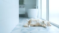 Fluffy orange tabby cat lying on bathroom floor tiles near modern white bathtub and large window with natural light streaming in creating peaceful atmosphere.
