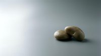 Smooth river stones arranged on clean gradient background for zen meditation spa wellness and natural therapy concepts.