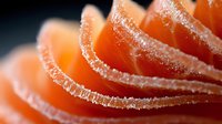 Thinly sliced fresh salmon sashimi arranged in elegant layers, showcasing delicate pink texture with glistening edges, macro close-up food photography.