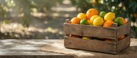 Fresh citrus fruits in rustic wooden crate on outdoor table with natural sunlight and green foliage background for healthy eating and organic produce.