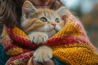 Adorable ginger kitten wrapped in warm knitted autumn scarf looks up with bright blue eyes while being held. Cozy fall season pet portrait with soft bokeh background.