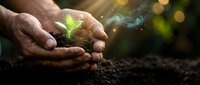 Hands gently protecting young green plant seedling growing from rich dark soil with magical light effects and bokeh background for environmental concepts.