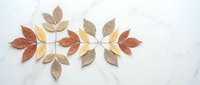 Autumn leaves arranged in decorative pattern on white background. Fall foliage design elements for seasonal projects and nature-themed graphics.