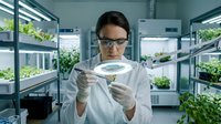 Female scientist in white lab coat and safety glasses examines plant sample under magnifier in modern agricultural research lab.
