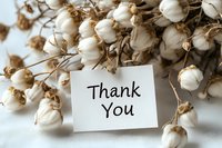 Thank you note with natural cotton bolls arrangement on white background, creating rustic composition for greeting cards and social media content.