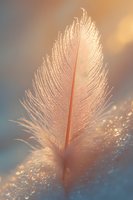 Delicate feather with golden sunlight creating warm bokeh effect and soft glowing atmosphere for spiritual and mindfulness concepts.