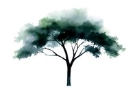 Minimalist watercolor tree silhouette in dark green and teal shades against white background, single trunk with spreading crown, isolated design element.