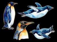 Penguin and dolphin illustrations isolated on transparent background, ready for t-shirt design, clipart, stickers, sublimation and print-on-demand projects.