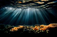 Dramatic underwater scene with sunbeams piercing through dark ocean surface, illuminating vibrant orange coral reef formations against deep blue waters. For nature and marine photography.