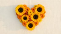 Heart-shaped arrangement of bright yellow sunflowers and orange chrysanthemums on neutral background for romantic autumn decor and seasonal design projects.