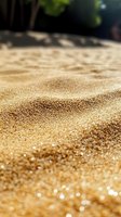 Close-up macro shot of golden sand texture with sparkling particles and natural sunlight creating soft shadows and bokeh effect on beach surface.
