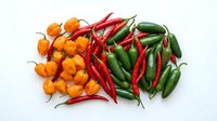Assorted fresh chili peppers including orange habaneros, red cayenne and green jalapenos arranged on white background for culinary and food design projects.