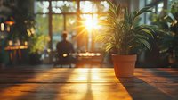 Potted houseplant on wooden table at sunset with golden sunlight streaming through window creating long shadows and warm atmospheric mood in cozy room.