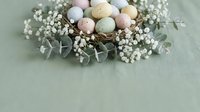 Pastel Easter eggs nestled in decorative nest with white baby's breath flowers and eucalyptus leaves on soft green background for spring holiday celebrations.
