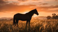 Majestic horse silhouette standing in golden grassland during dramatic sunset with orange sky and mountain backdrop creating peaceful rural landscape scene.