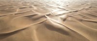 Golden sand dunes with flowing curves and soft shadows creating natural desert landscape patterns under warm sunlight for travel and nature themes.