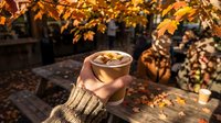 Hands holding warm coffee cup with latte art in cozy autumn garden setting with golden fall foliage and rustic wooden bench creating seasonal comfort mood.