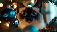 Siamese cat with bright blue eyes peering through Christmas tree branches with glowing bokeh lights and ornaments creating magical holiday atmosphere.