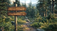Rustic wooden directional sign post along forest trail with blurred pine trees and nature path in background, morning sunlight creating atmospheric mood.