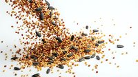 Mixed seeds and grains scattered in dynamic motion on white background, featuring quinoa, lentils, beans and cereals for healthy nutrition and cooking.