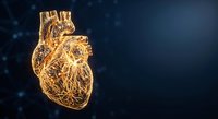 Golden wireframe human heart anatomy model with glowing effects on dark blue background for medical education and healthcare presentations.
