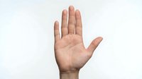 Human hand showing open palm in stop gesture isolated on white background for design and communication concepts.