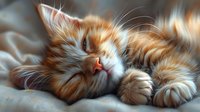 Adorable ginger cat sleeping peacefully on soft gray bedding, perfect for pet care websites, veterinary clinics, or relaxation concepts. Close-up portrait shows fluffy fur and serene expression.