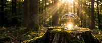 Crystal ball on moss-covered tree stump in enchanted forest with golden sunlight rays streaming through trees creating magical atmosphere for meditation.