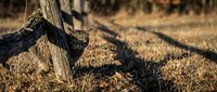 Weathered wooden fence post casting shadow on dry, golden straw and earth ground, depicting rural landscape and agricultural setting for farming or countryside themes.
