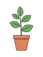Green plant growing in terracotta pot with multiple leaves on white background. Isolated houseplant for gardening and nature designs.