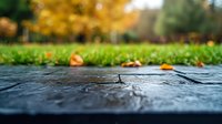Wet stone surface with autumn leaves scattered in background, shallow depth of field perspective capturing fall season atmosphere and rainy weather mood.