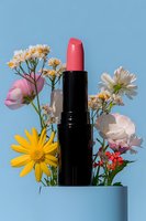 Coral pink lipstick surrounded by fresh spring flowers including yellow daisy, pink roses and white baby's breath against light blue background for beauty and cosmetics.