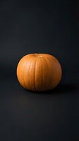 Fresh orange pumpkin on dark background for autumn harvest decoration, Halloween carving, seasonal cooking and fall holiday celebrations.