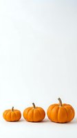 Three orange pumpkins arranged in ascending size order on clean white background for autumn harvest seasonal decorating and holiday design projects.