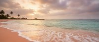 Tropical beach at sunset with golden light reflecting on calm turquoise waters, soft waves washing onto pink sand shore, palm trees silhouetted against dramatic sky for travel and vacation concepts.