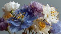 Delicate spring flowers in soft pastel colors with prominent golden stamens creating an ethereal botanical arrangement on neutral background.