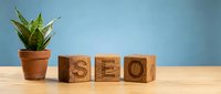 Wooden blocks spelling SEO on a table beside a green potted plant against a blue background, representing digital marketing and search engine optimization concepts.