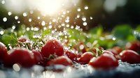 Fresh red cherry tomatoes with water droplets splashing in bright sunlight, creating bokeh effects. Organic produce harvest concept for healthy cooking.