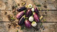 Fresh organic eggplants in purple and white varieties arranged on rustic wooden background with herbs and soil for healthy cooking and farm market.