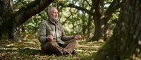 Senior man with gray hair and beard, Caucasian ethnicity, sitting cross-legged under large trees reading a book in natural forest setting with dappled sunlight.