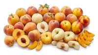 Assorted fresh peaches and nectarines with sliced fruit displaying pit and flesh, isolated on white background for food, nutrition, and culinary design projects.