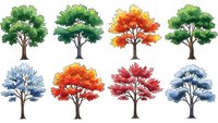 Collection of eight stylized trees showing seasonal changes with vibrant foliage colors from green spring to autumn reds and winter frost on white background.
